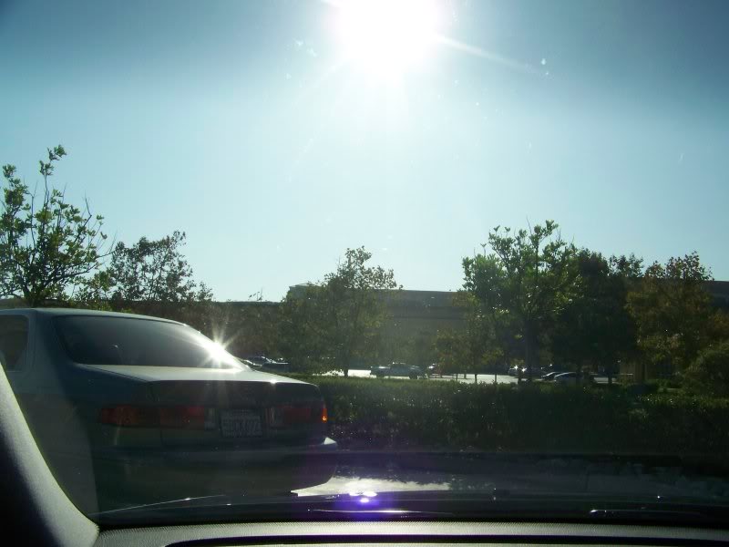 Name:  directlyinsun.jpg
Views: 77
Size:  61.6 KB
