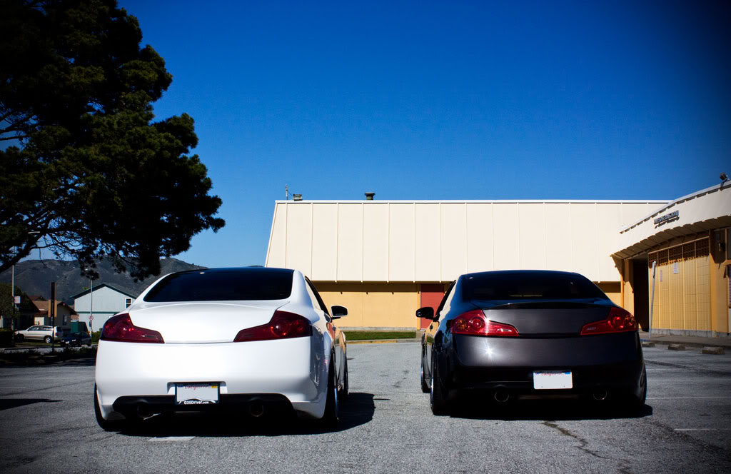 Name:  IMG_8529.jpg
Views: 385
Size:  100.5 KB