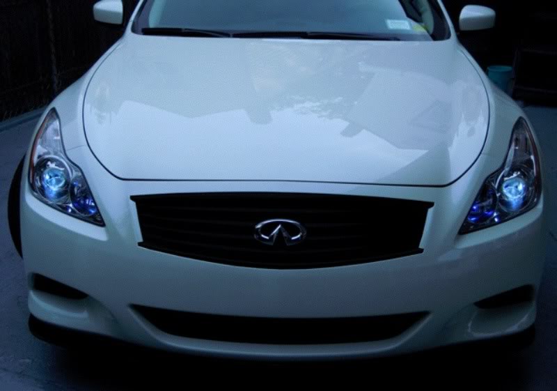 Name:  fmblackgrille2.jpg
Views: 516
Size:  46.4 KB