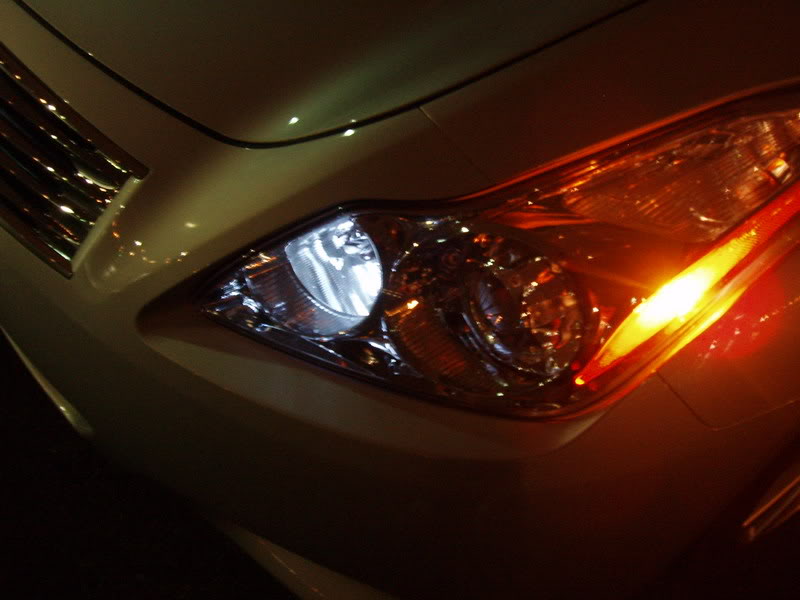 Name:  g37021.jpg
Views: 116
Size:  51.6 KB