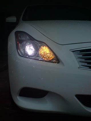 Name:  frontview.jpg
Views: 62
Size:  9.9 KB