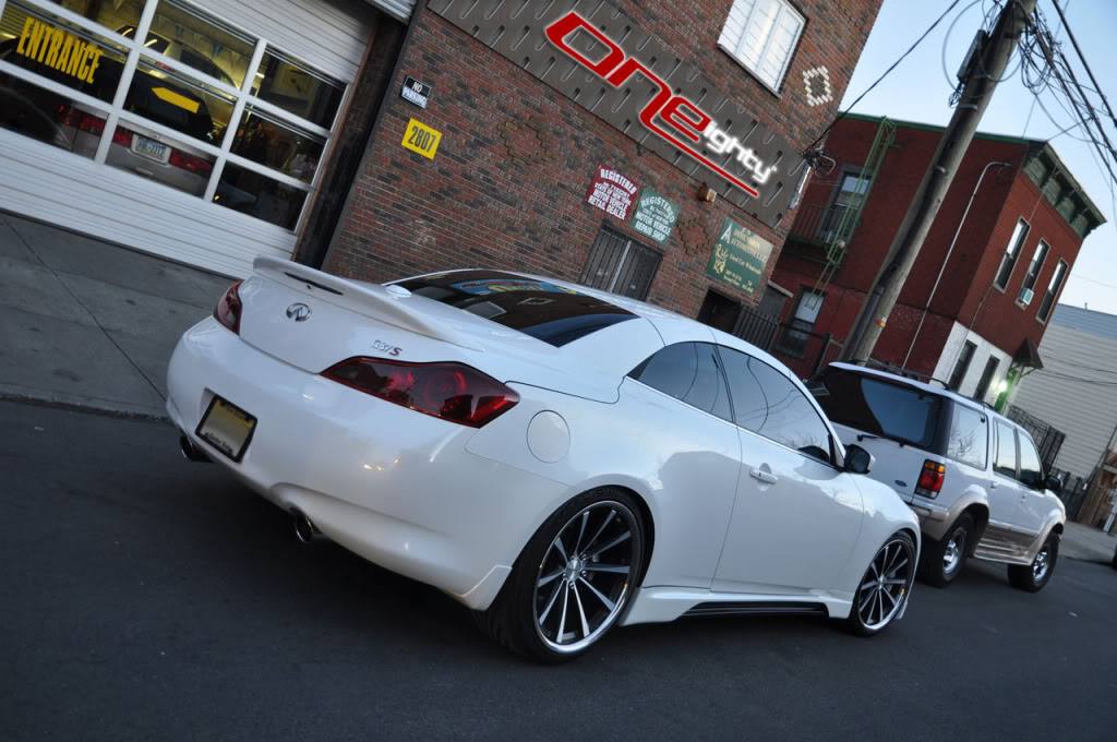 Name:  midnight_tails7.jpg
Views: 1405
Size:  131.6 KB