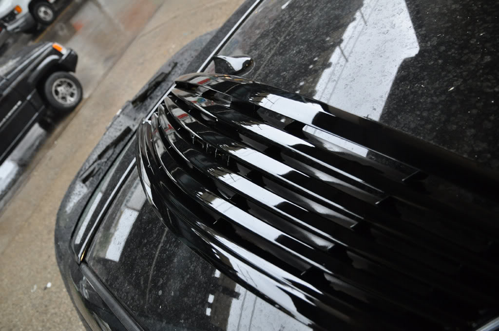 Name:  DSC_9681.jpg
Views: 250
Size:  111.9 KB