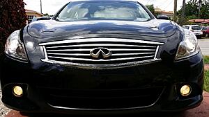Turn Signal Bulbs-ppdetes.jpg