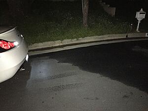 Review: Diode Dynamics XP50 Reverse LEDs-tcusypi.jpg