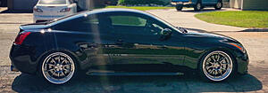 Window Tint Question-igyfzee.jpg