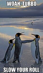 Question About Display Brightness-e93if.jpg