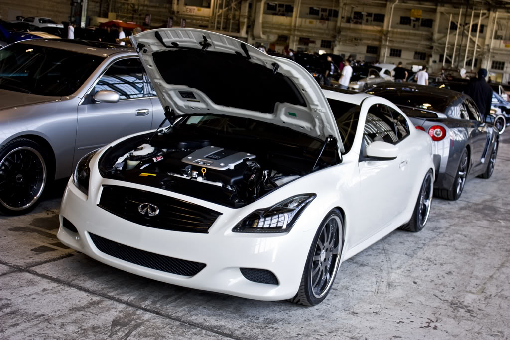 Name:  SYTFUBBQShow071.jpg
Views: 115
Size:  151.1 KB