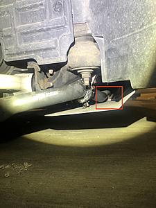 zSpeed Engine Undershroud Rubbing on Sway Bars?-img_0930.jpg