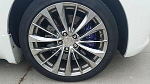 Paint calipers red or not?-foffpmh.jpg