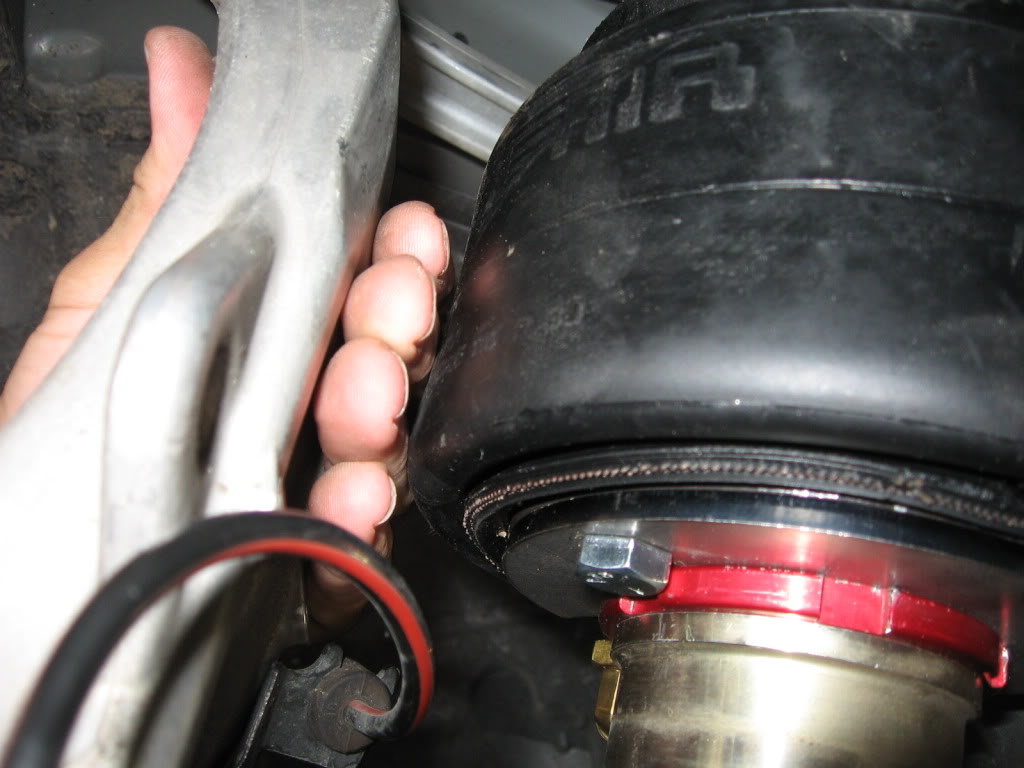 Name:  IMG_0522.jpg
Views: 1436
Size:  91.4 KB