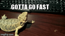 Name:  wIvqpOv.gif
Views: 21
Size:  1.09 MB
