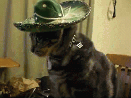 Name:  7qNTrHN.gif
Views: 13
Size:  2.00 MB