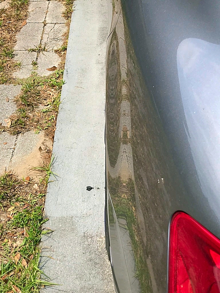 Name:  B8FFCE0F-24A2-45BA-B883-36BC5EBD184B_zpsdgvw1zvb.jpg
Views: 431
Size:  737.9 KB