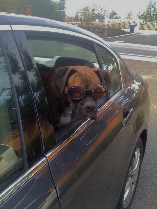 Name: Maynard_zps967ec55f.jpg
Views: 87
Size: 78.6 KB