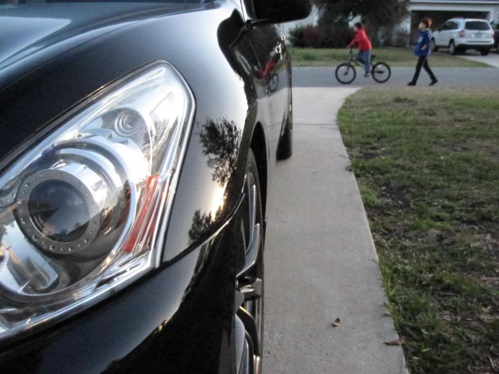 Name:  IMG_0131_zps0a418685.jpg
Views: 2207
Size:  92.3 KB