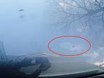 Help - Discoloration on Hood-fullsizerender.jpg