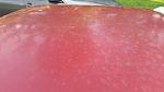 Ask a Professional Detailer... Brought to you by Detailed Image-hardtop.jpg