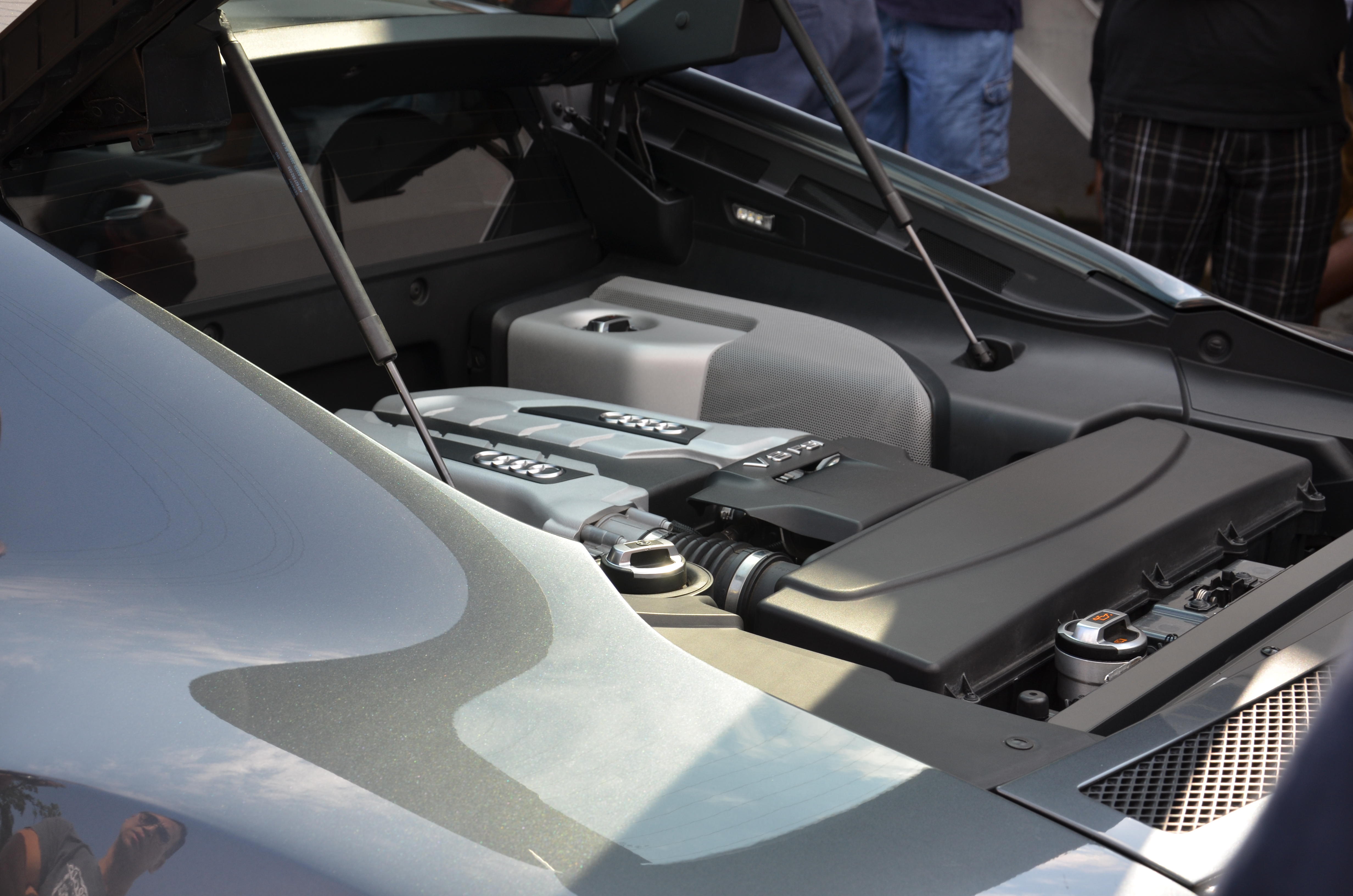 Name:  DSC_2763.jpg
Views: 61
Size:  5.65 MB