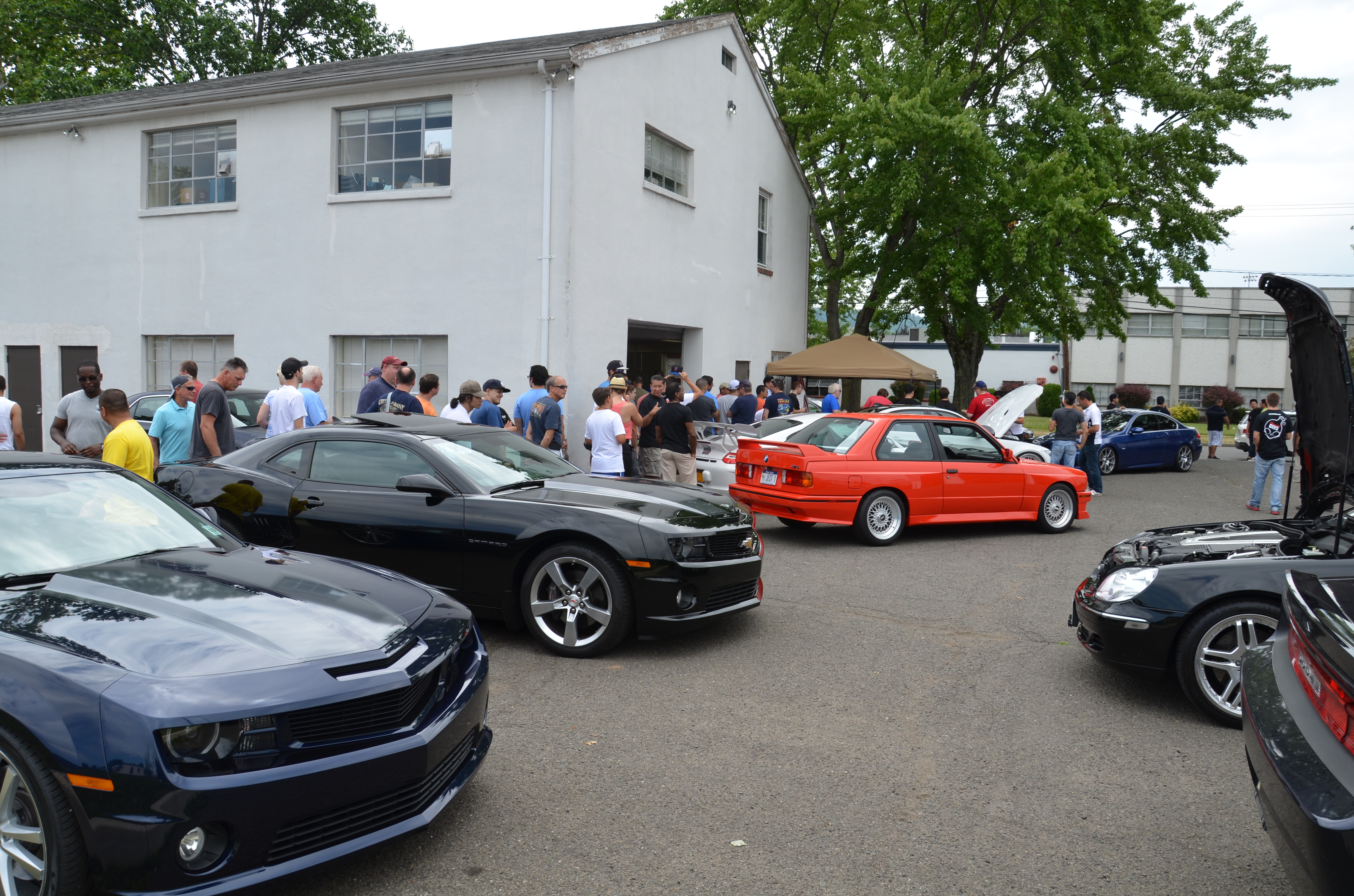 Name:  DSC_2778.jpg
Views: 51
Size:  8.12 MB