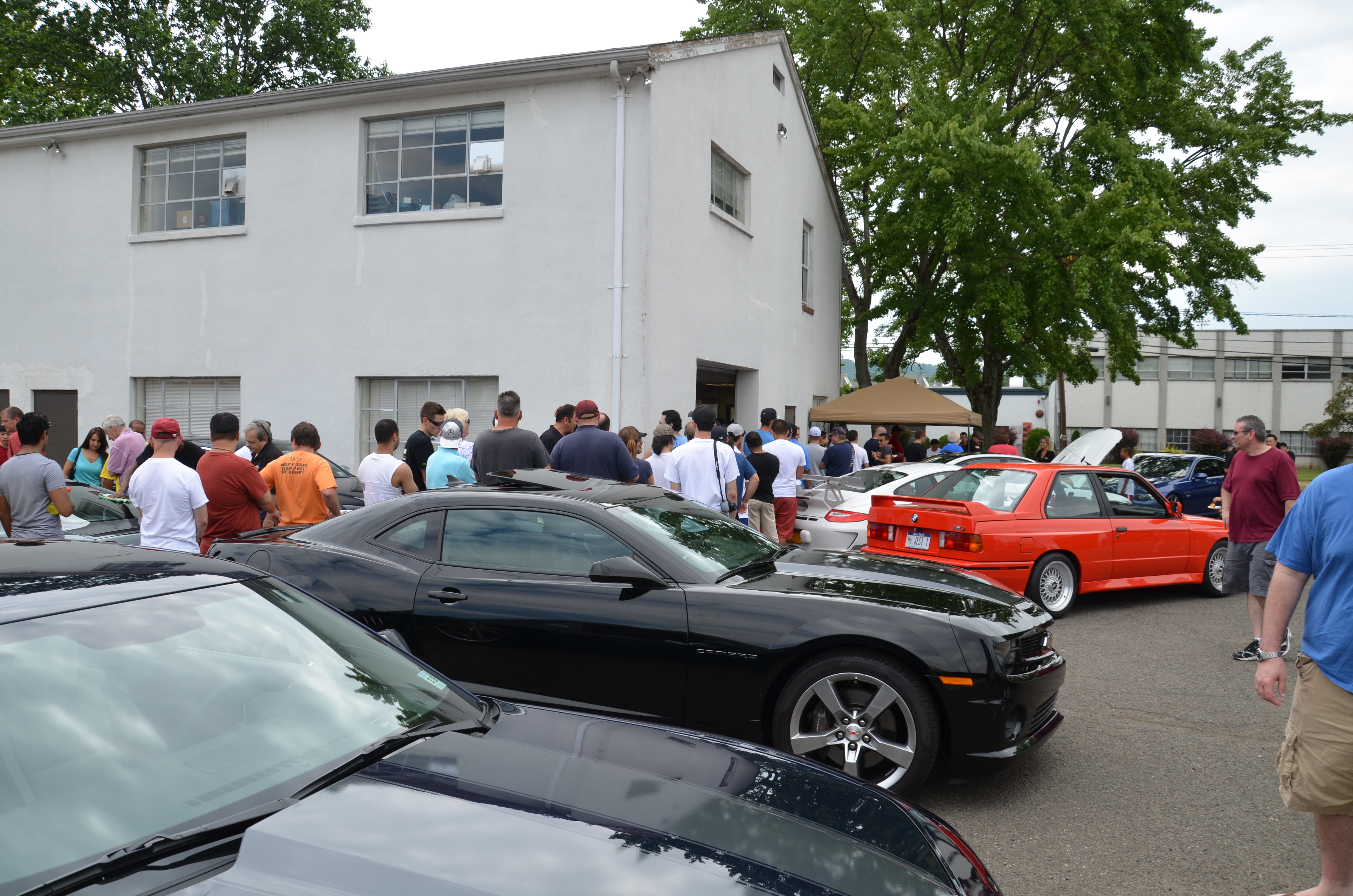 Name:  DSC_2781.jpg
Views: 55
Size:  7.13 MB