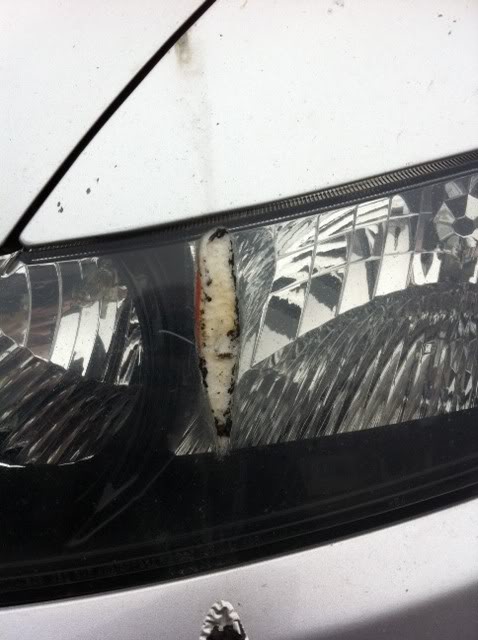 Name:  photo2.jpg
Views: 39
Size:  48.9 KB