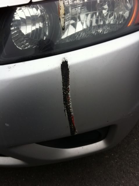 Name:  photo1.jpg
Views: 41
Size:  32.5 KB