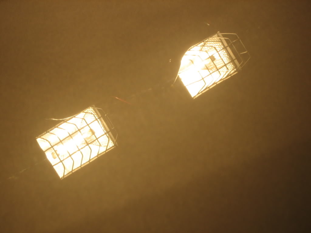 Name:  Swirls003-1.jpg
Views: 37
Size:  40.9 KB