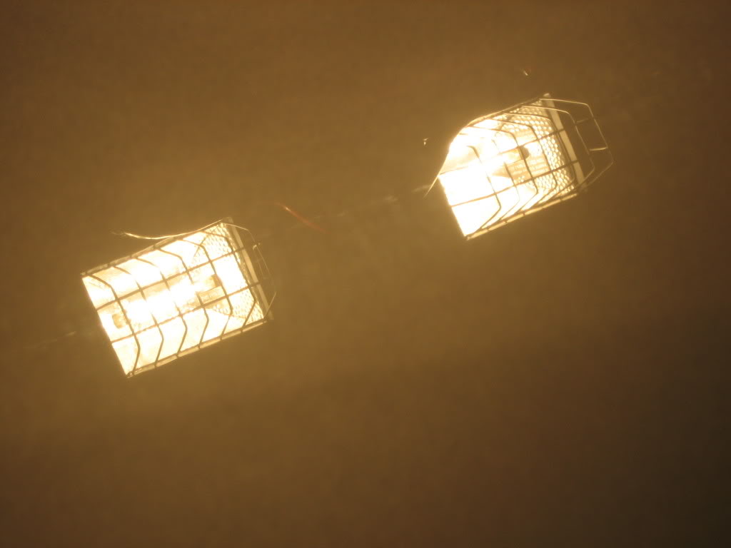 Name:  Swirls002.jpg
Views: 43
Size:  39.3 KB