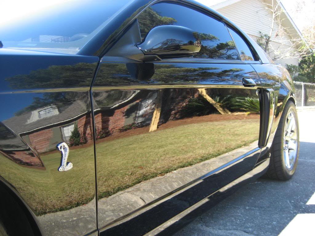 Name:  Detail-SVTCobra047.jpg
Views: 65
Size:  118.3 KB