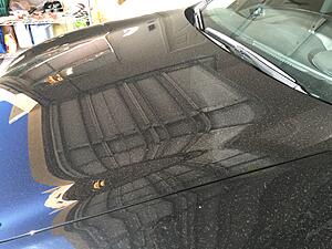 Darn those inevitable sprinklers!-x8pev8g.jpg