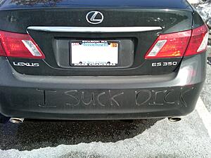 People are stupid-vy8jm.jpg