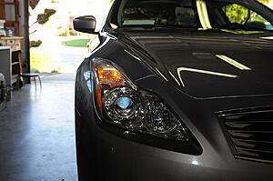 First time washing her-2q71j.jpg