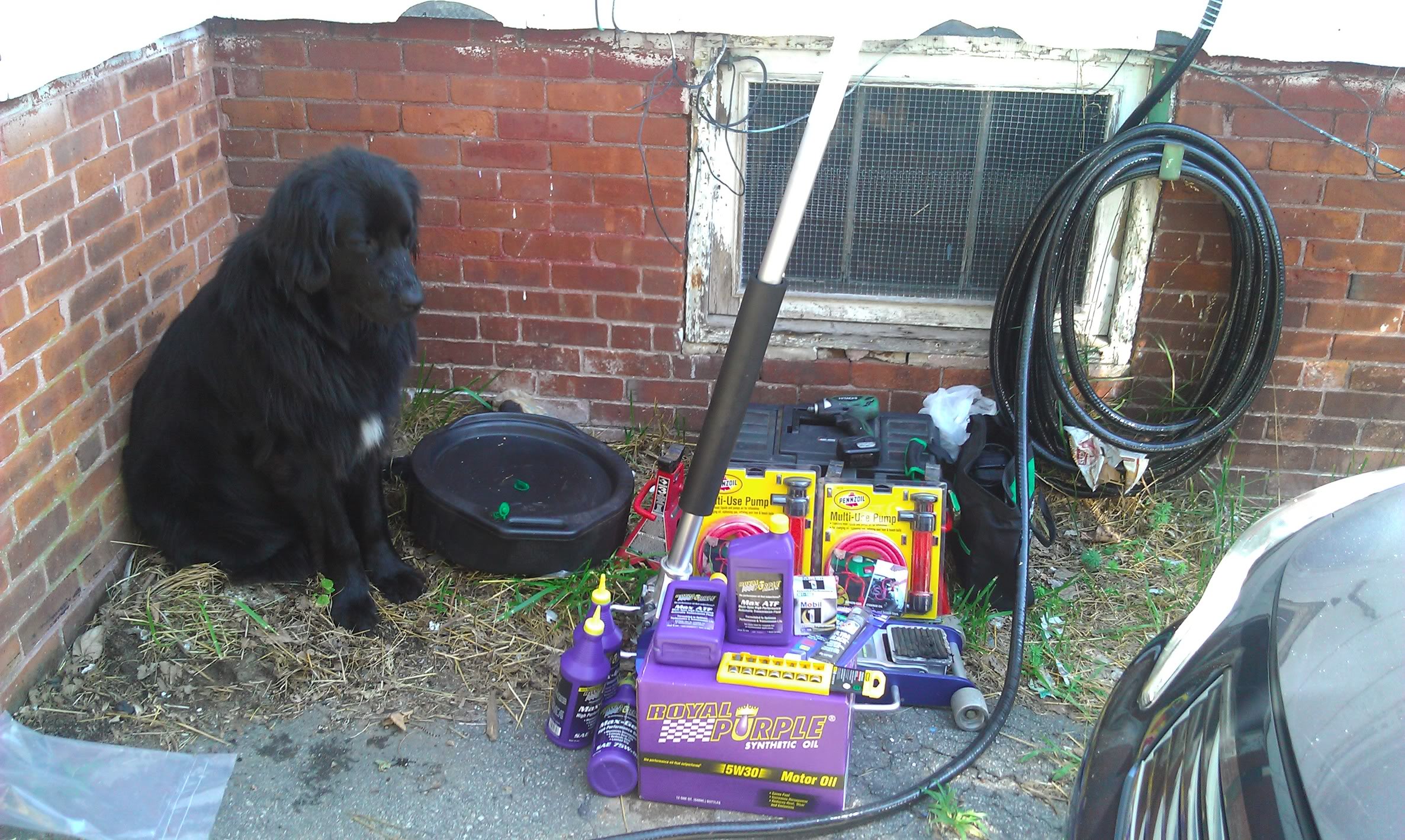 Name:  IMAG0203.jpg
Views: 17674
Size:  681.4 KB