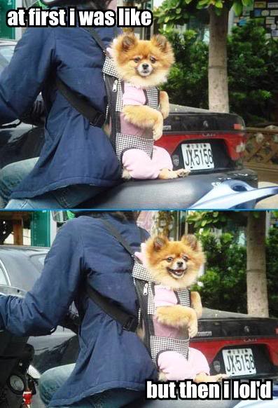 Name:  lold.jpg
Views: 268
Size:  47.4 KB