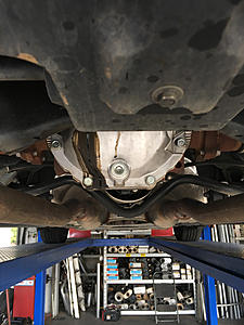 Whiteline Differential bushings-leak.jpg