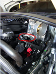 Coolant Leak - Where's this location?-hose-6.png