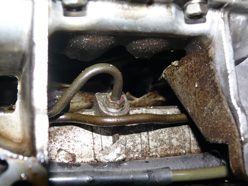 Name:  P1170488.jpg
Views: 1079
Size:  100.8 KB