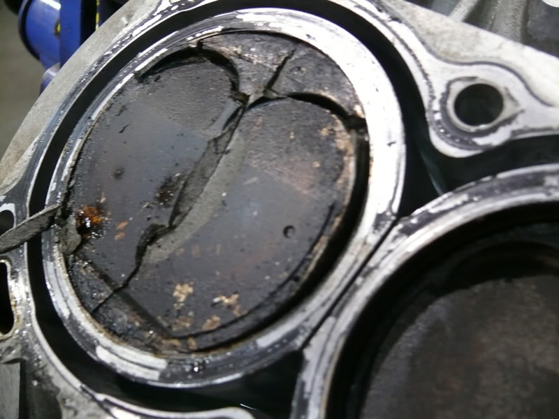 Name:  P1170891.jpg
Views: 1123
Size:  74.8 KB