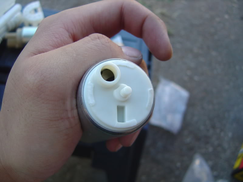 Name:  DSC07599.jpg
Views: 1477
Size:  41.0 KB