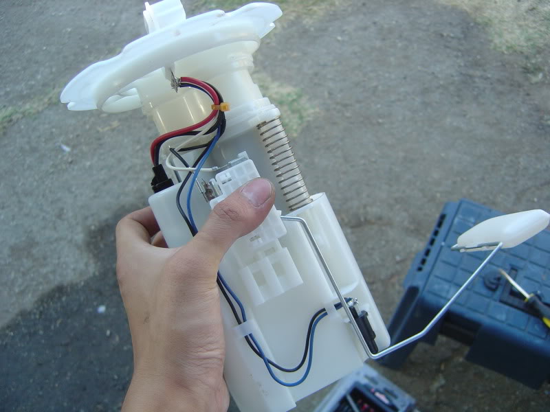 Name:  DSC07603.jpg
Views: 1473
Size:  66.7 KB