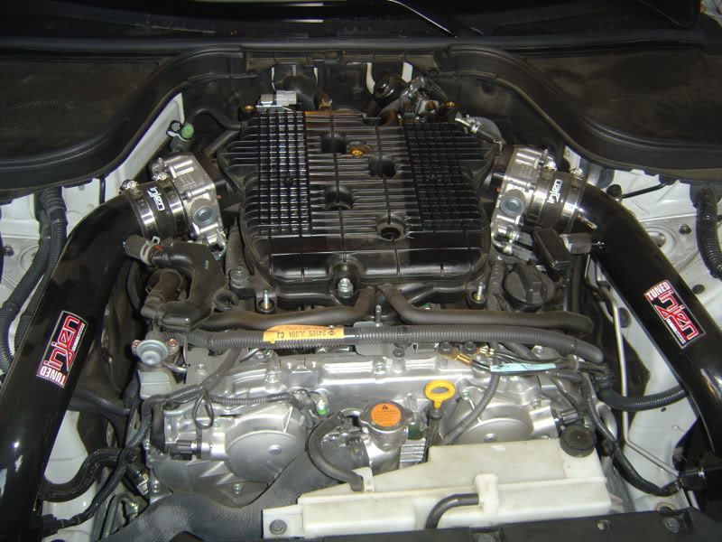 Name:  DSC07606.jpg
Views: 1890
Size:  112.7 KB