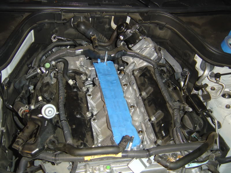 Name:  DSC07609.jpg
Views: 1502
Size:  114.9 KB