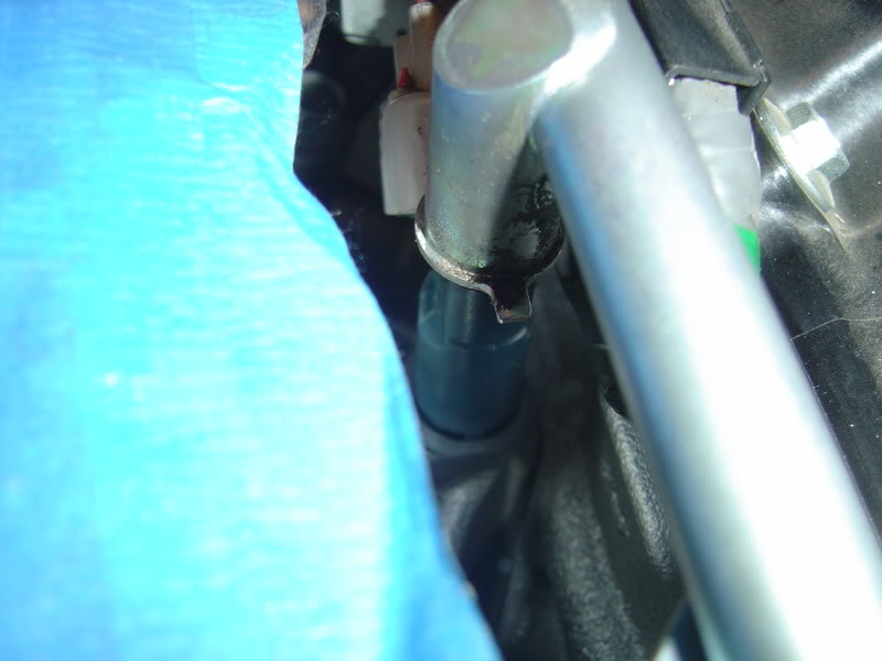 Name:  DSC07611.jpg
Views: 1489
Size:  52.5 KB