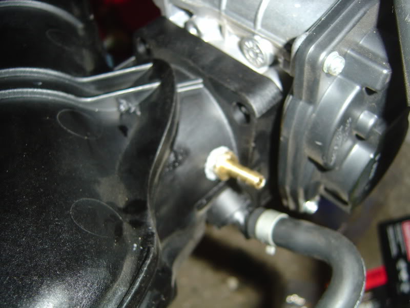 Name:  DSC07615.jpg
Views: 1447
Size:  67.4 KB