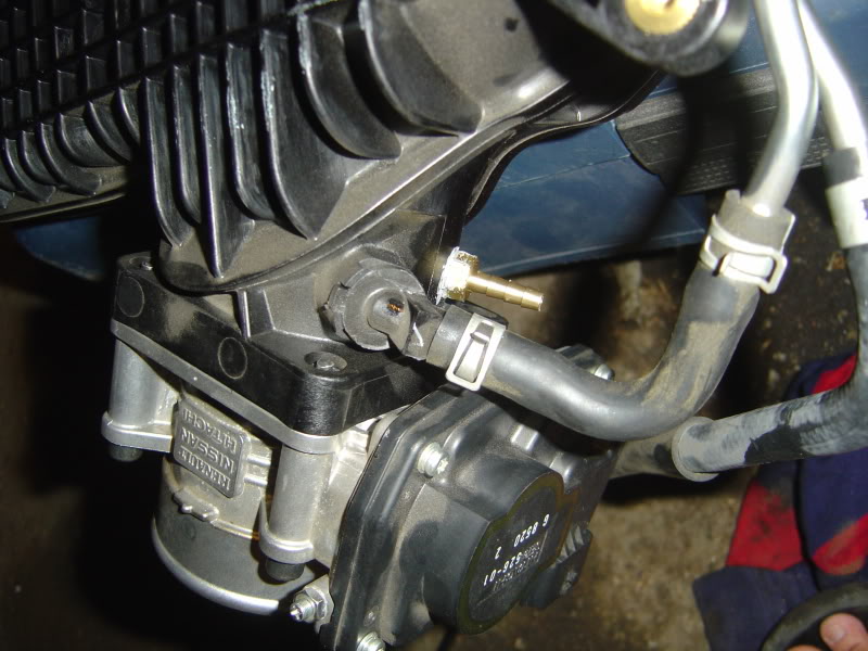 Name:  DSC07618.jpg
Views: 1496
Size:  87.8 KB