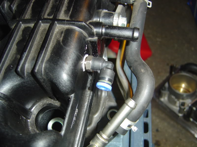 Name:  DSC07617.jpg
Views: 1655
Size:  84.7 KB