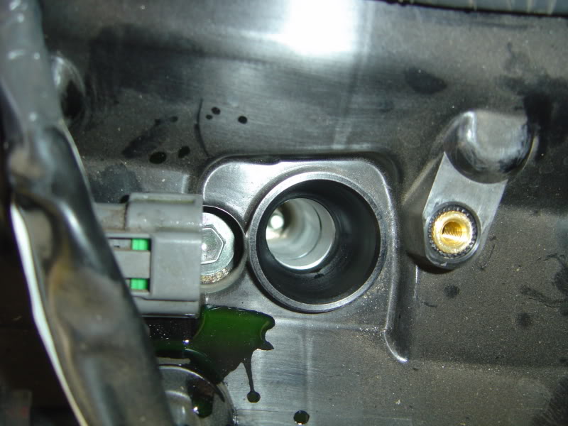 Name:  DSC07619.jpg
Views: 1473
Size:  77.6 KB