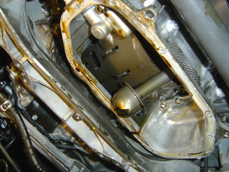 Name:  DSC07638.jpg
Views: 1458
Size:  117.7 KB