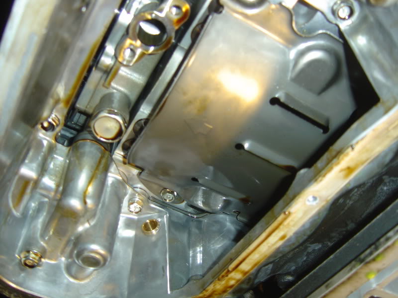 Name:  DSC07642.jpg
Views: 1469
Size:  74.2 KB